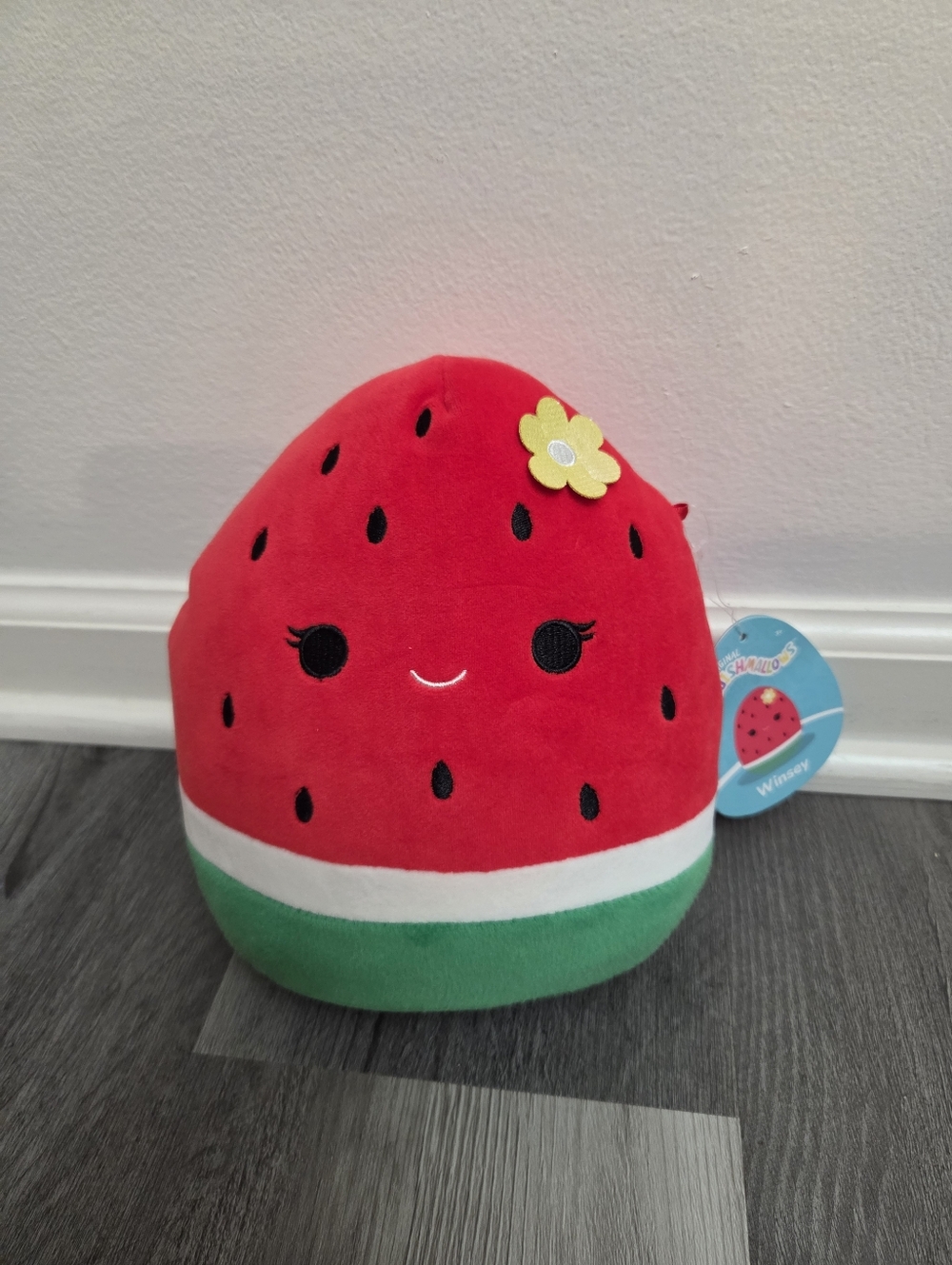 Watermelon Squishmallow 'Winsey' NWT
